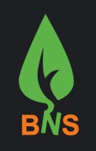 BNS